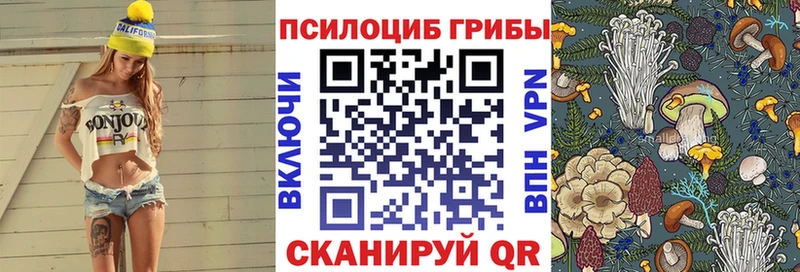 Псилоцибиновые грибы мухоморы блэк спрут рабочий сайт Губаха