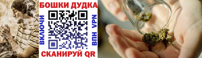 где купить наркоту  Губаха  Каннабис гибрид 